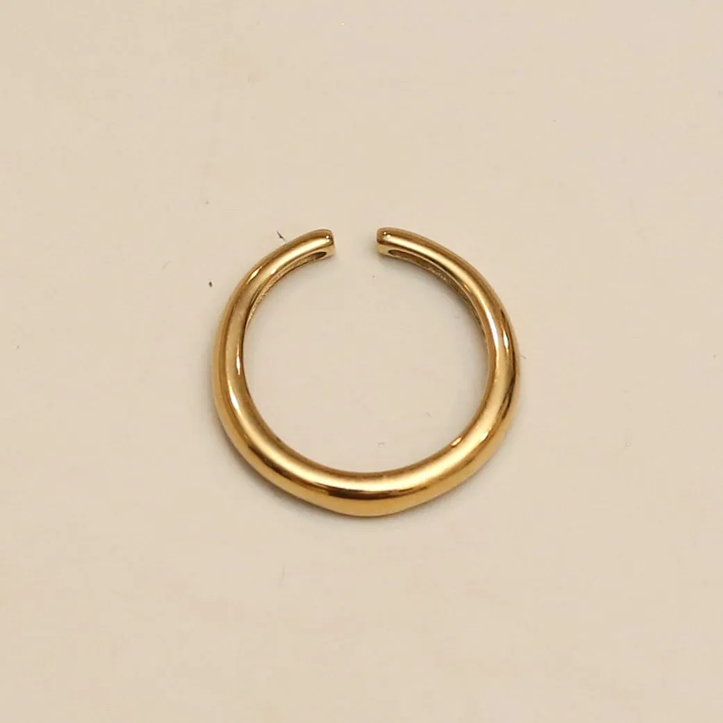 Gypsy Horn Ring