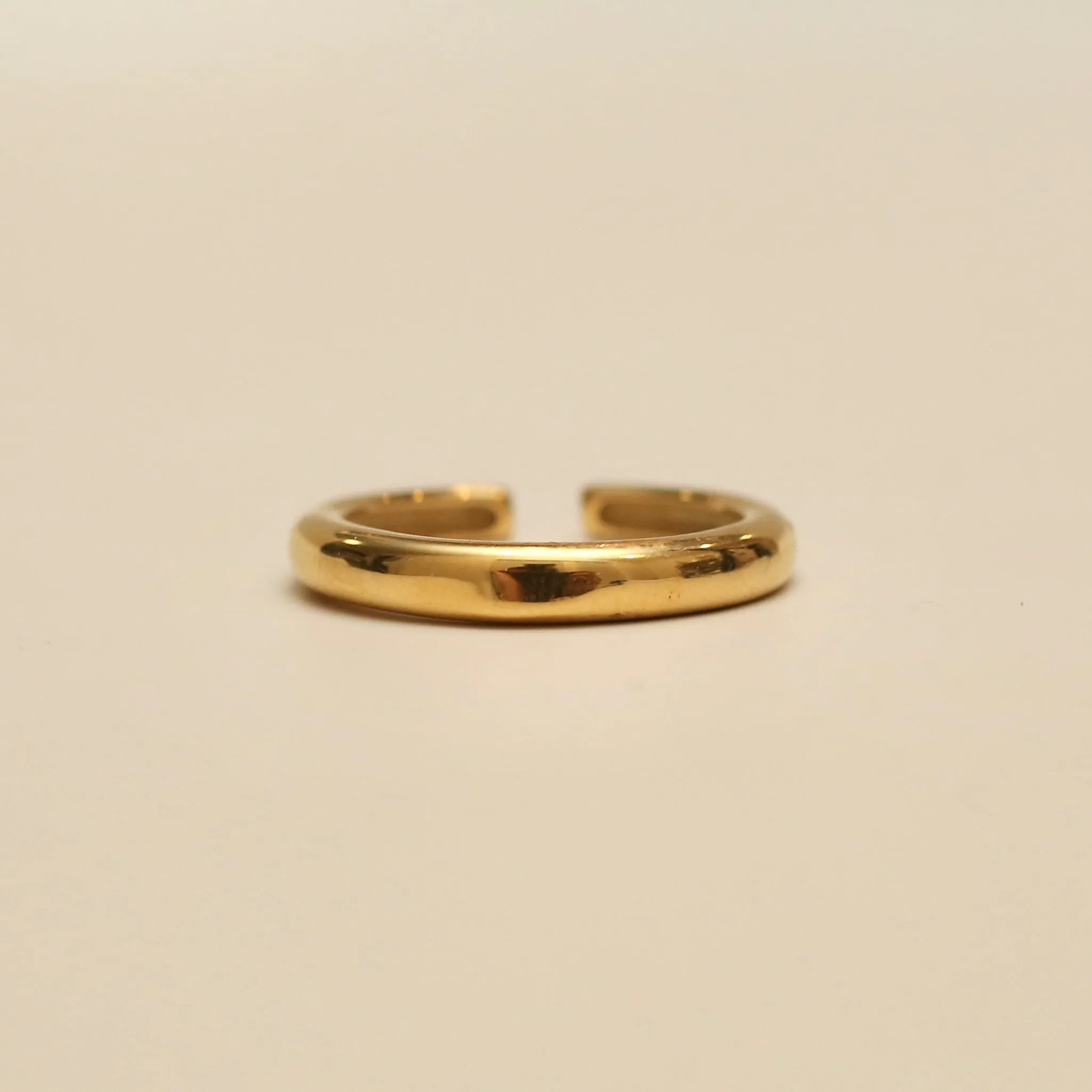 Gypsy Horn Ring
