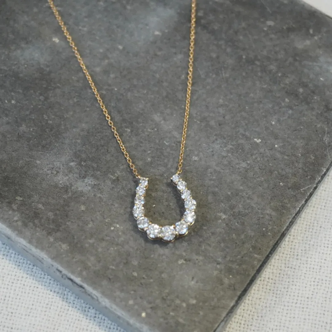 Horse shoe necklace