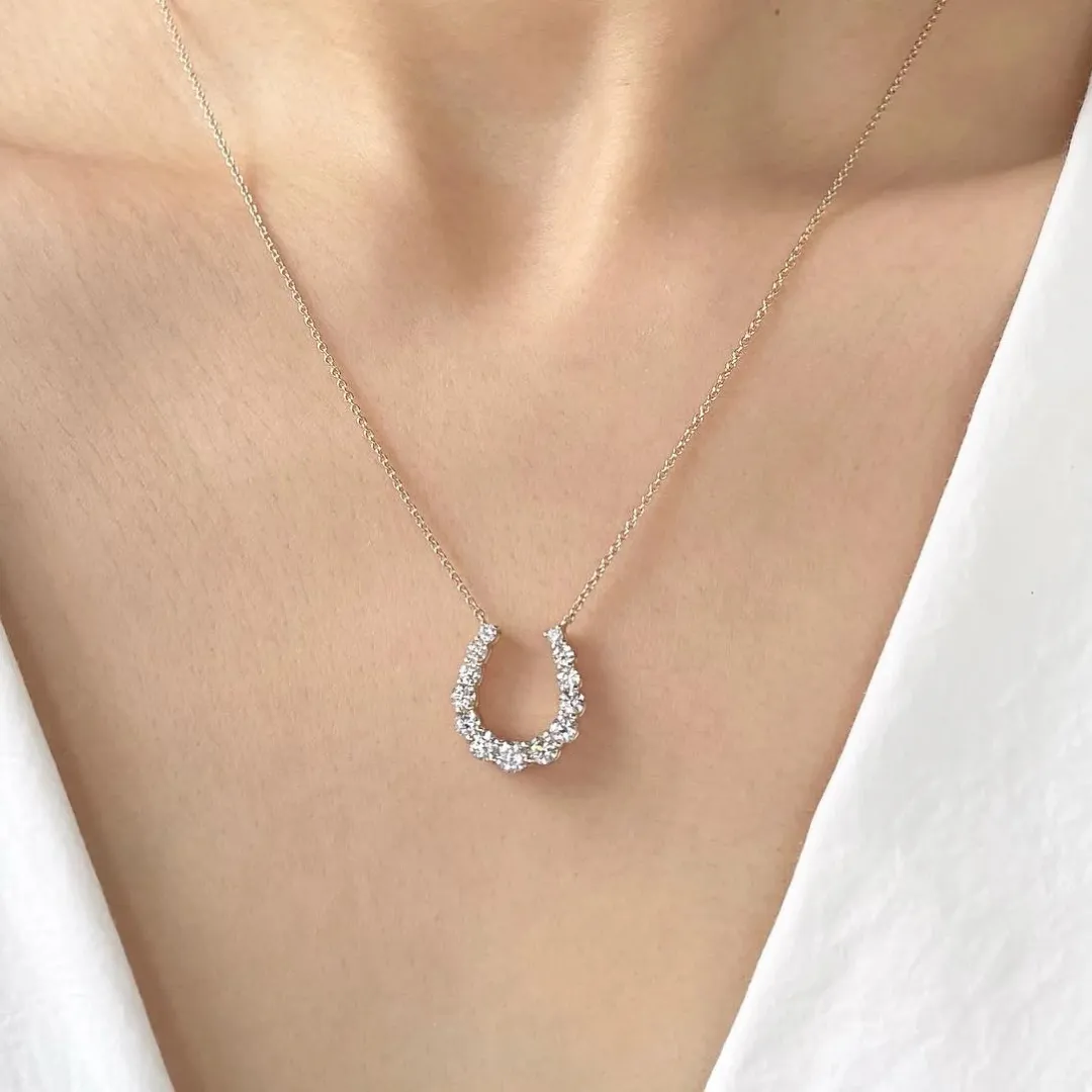 Horse shoe necklace