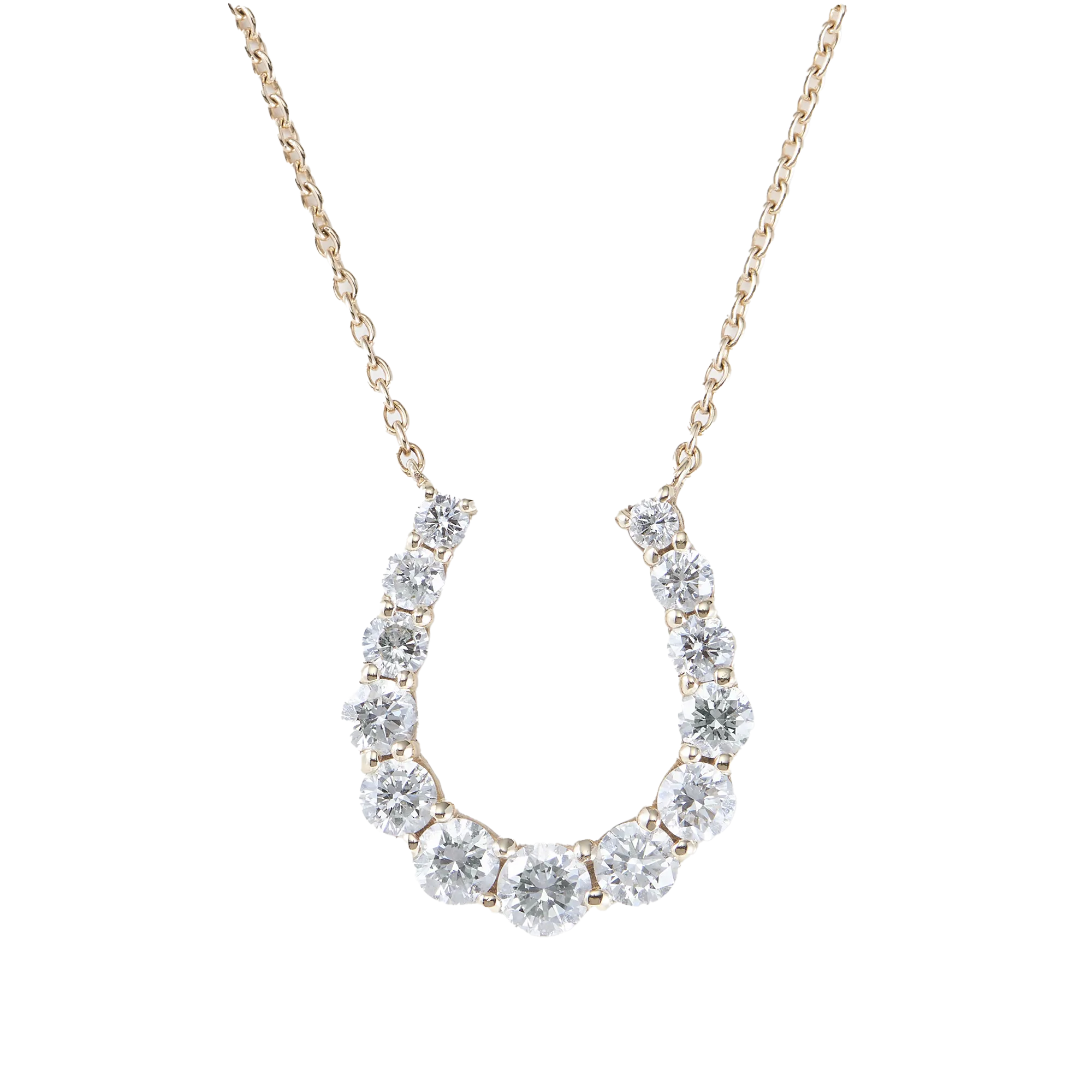 Horse shoe necklace